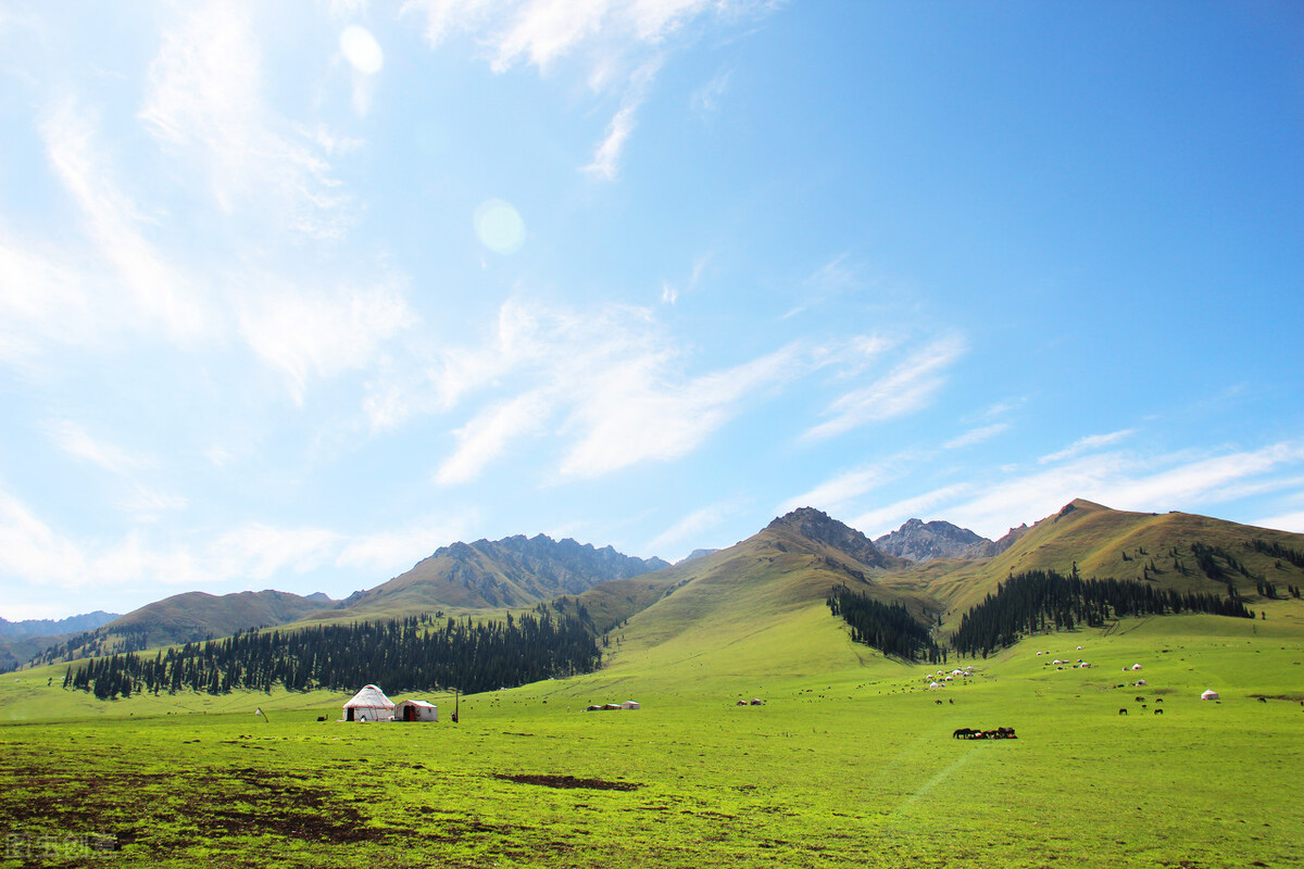 疆内包车价目表,疆旅租车乌鲁木齐