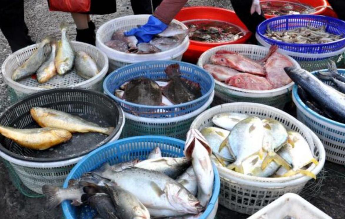 青岛四大海鲜名吃,青岛好吃的大海鲜