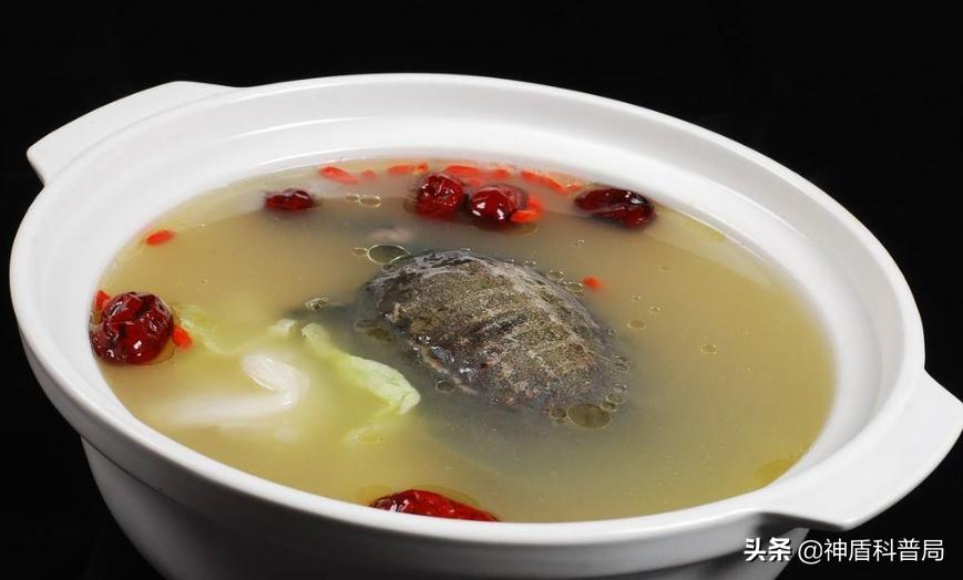 甲鱼和鳖还有王八是一种动物吗,甲鱼乌龟王八和鳖是一个东西吗