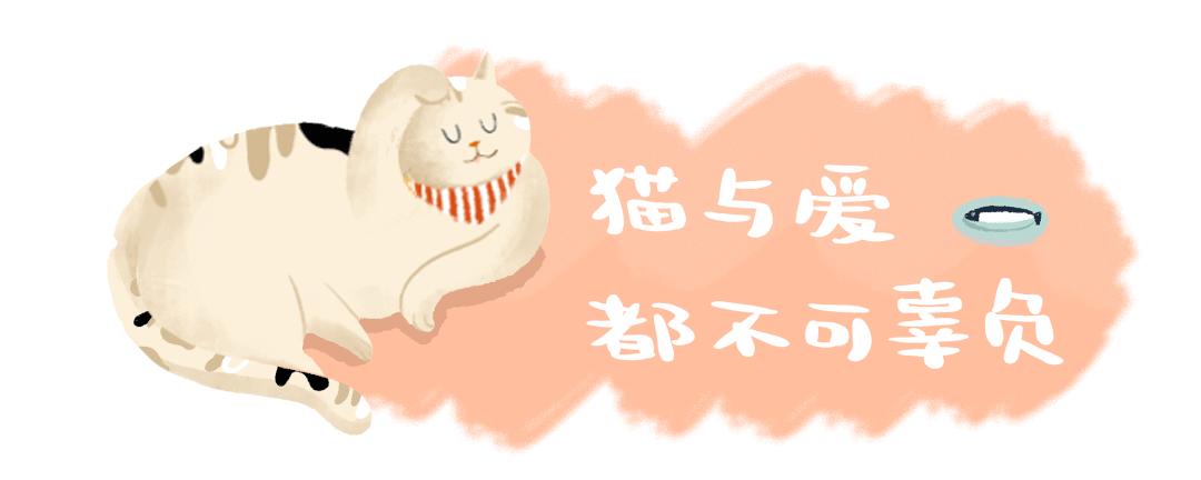 70万网友在线围观我家猫猫“搞黄色”：越看越上头，越看越变态