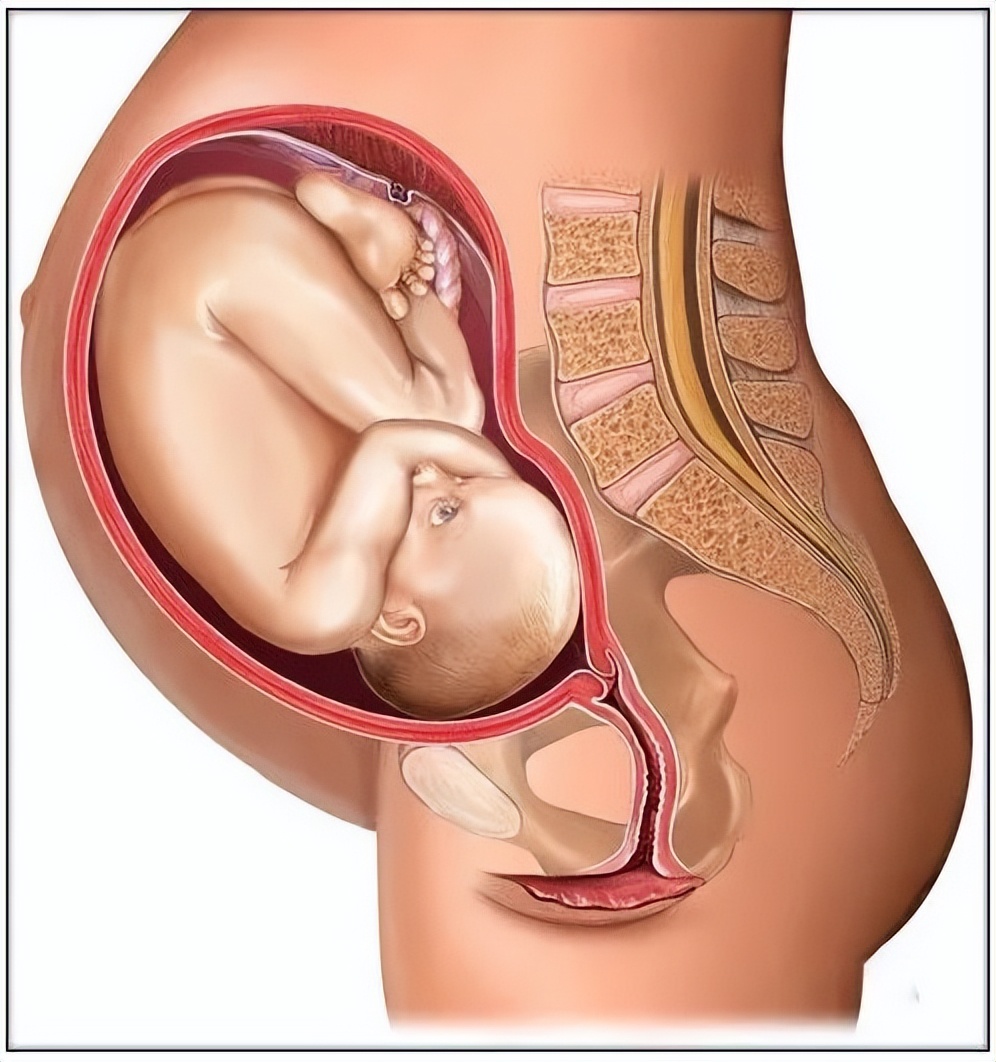 怀孕初期1-7天症状需要注意什么,孕妈这几个症状一定要注意