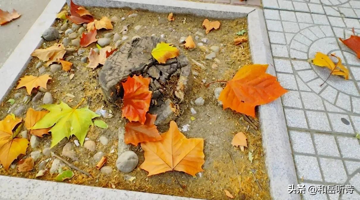 苏东坡的春夏秋冬诗句,春夏秋冬苏东坡