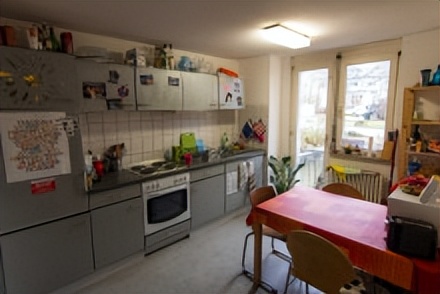 霍恩海姆大学,霍恩海姆厉害吗