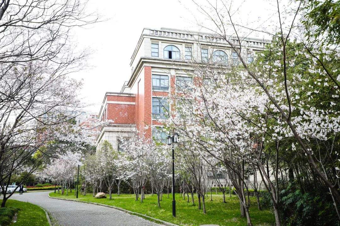 上海理工大学啥样子,上海理工大学外貌