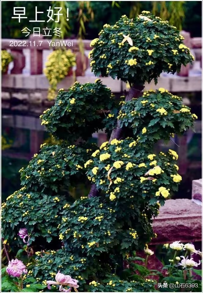 战友诗句大全,战友诗句