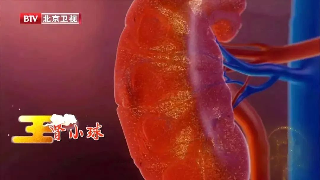 起夜频繁是得了夜尿症吗,经常起夜夜尿多是什么原因