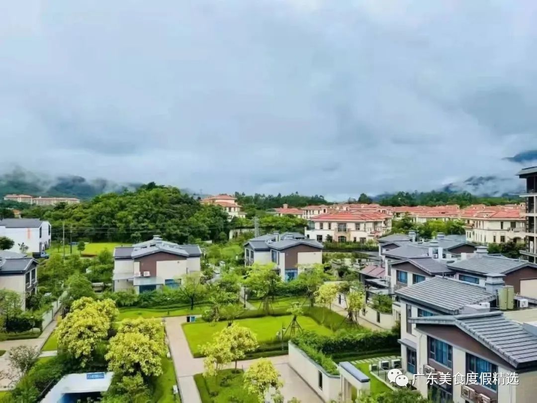 广州增城金叶子温泉推荐,增城金叶子半山温泉公寓