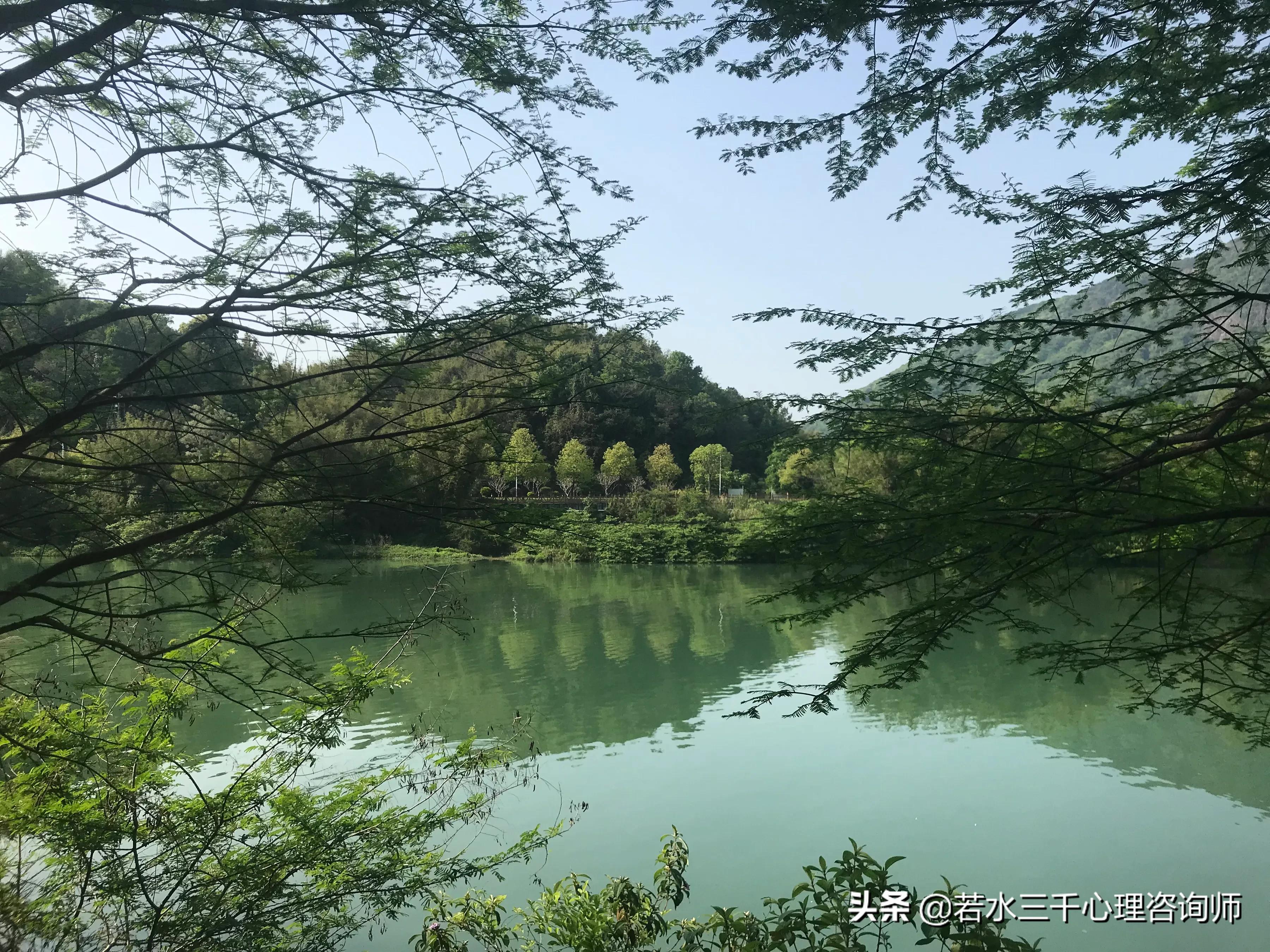 心理观察室：接线员迷式操作，20岁女生的生命之殇谁来担责