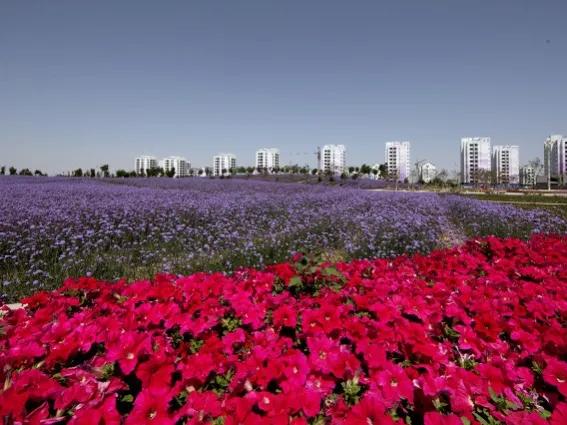 去甘肃旅游后的感受,去甘肃旅游记录