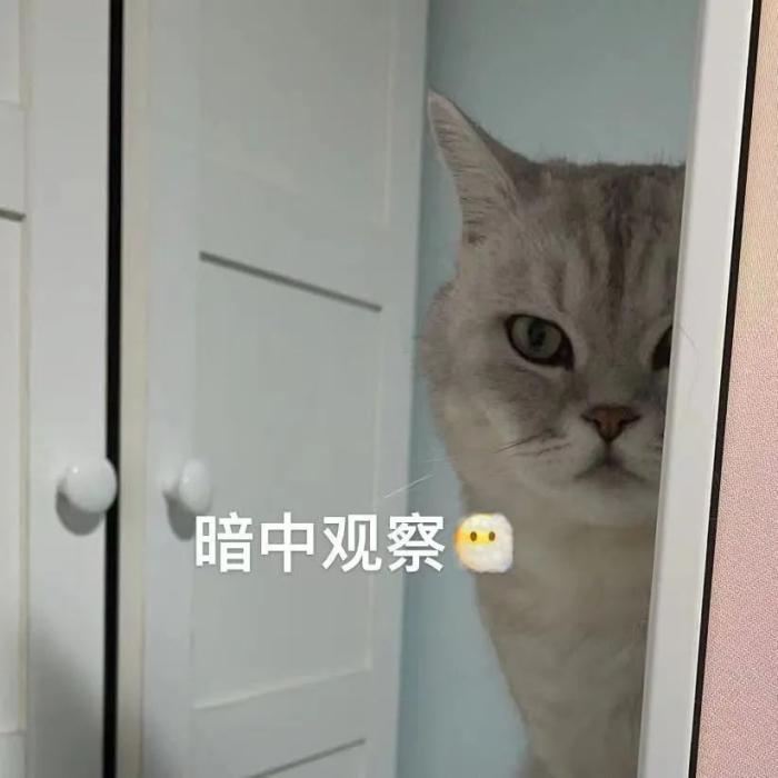 iphone14pro翻车是真的吗,iphone14pro翻车了咋办