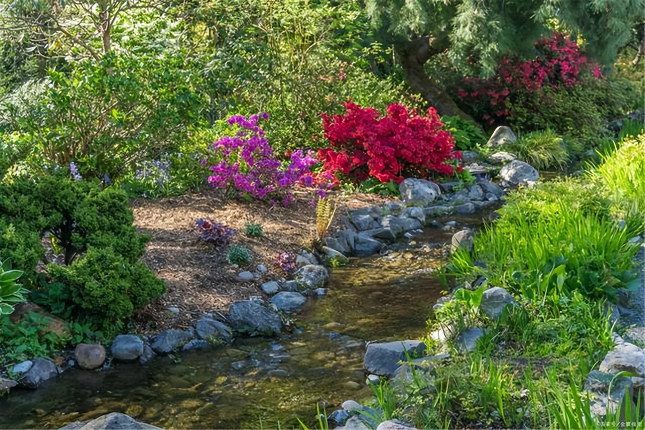 疫情早安心语正能量励志,销售励志早安心语正能量句子