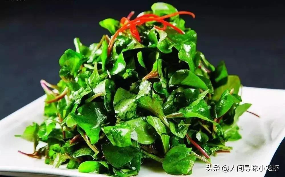 香辣枸杞头的做法,鲜嫩的枸杞头怎么吃