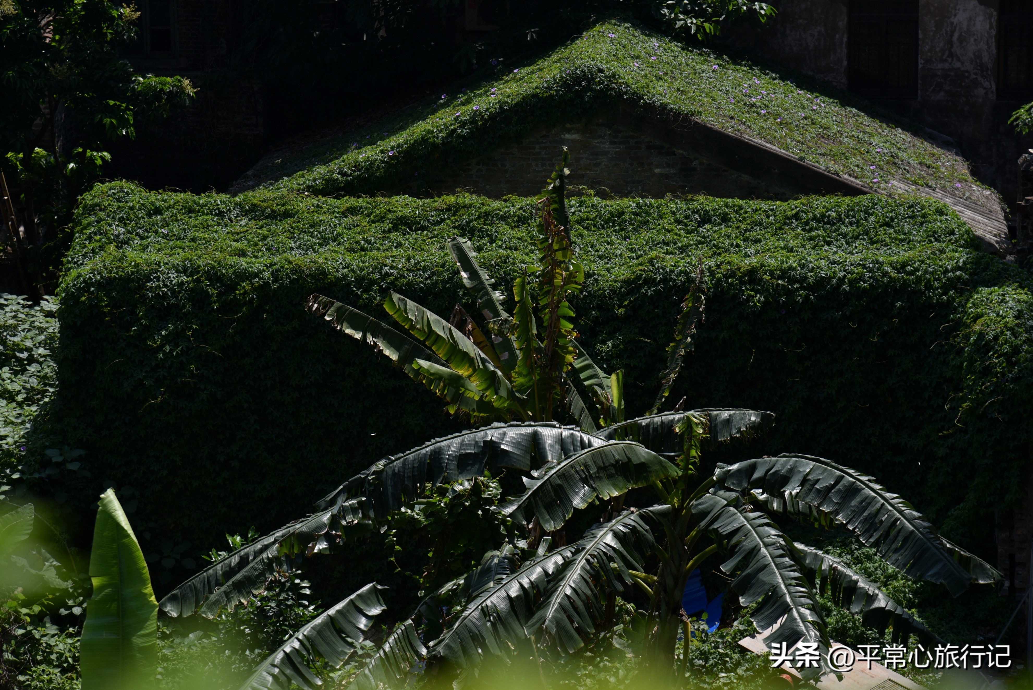 狂飙江门取景地打卡旧厂街,江门三十三墟街景点介绍