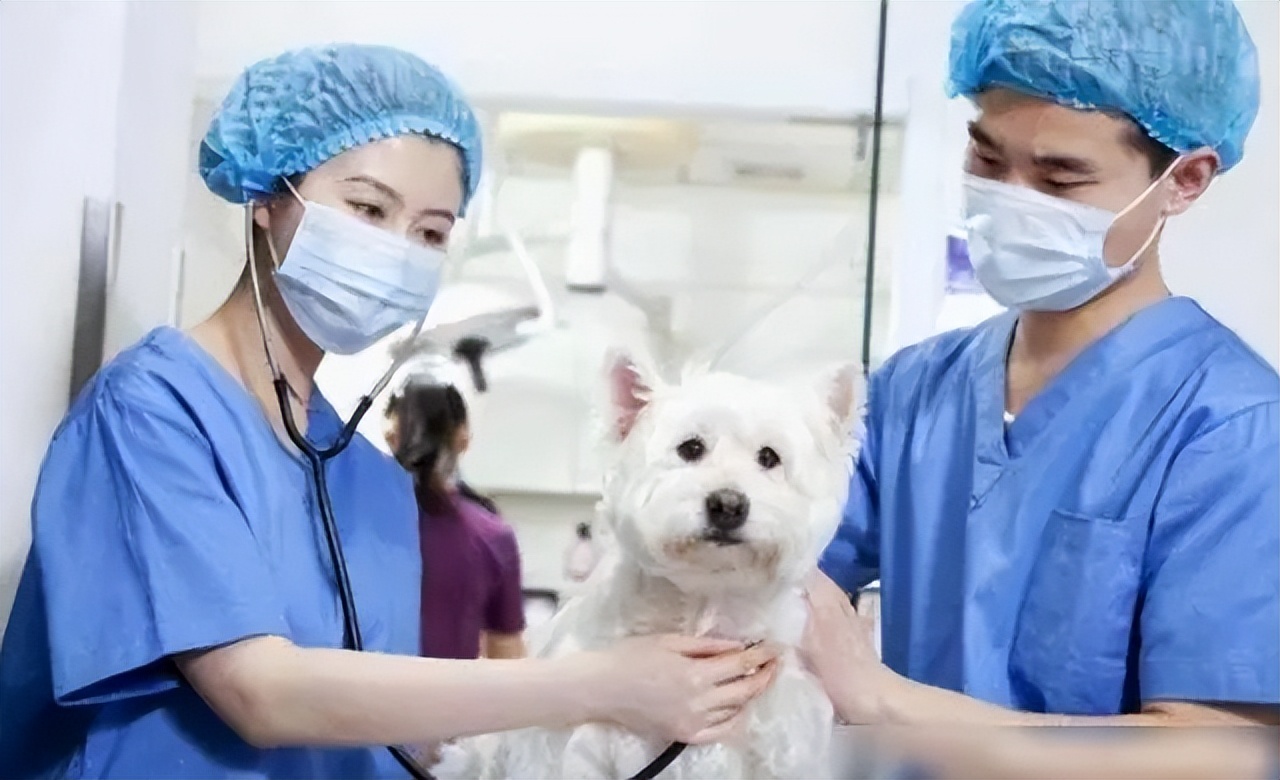 本科就能就业的冷门专业,大学里的冷门专业真的冷门吗