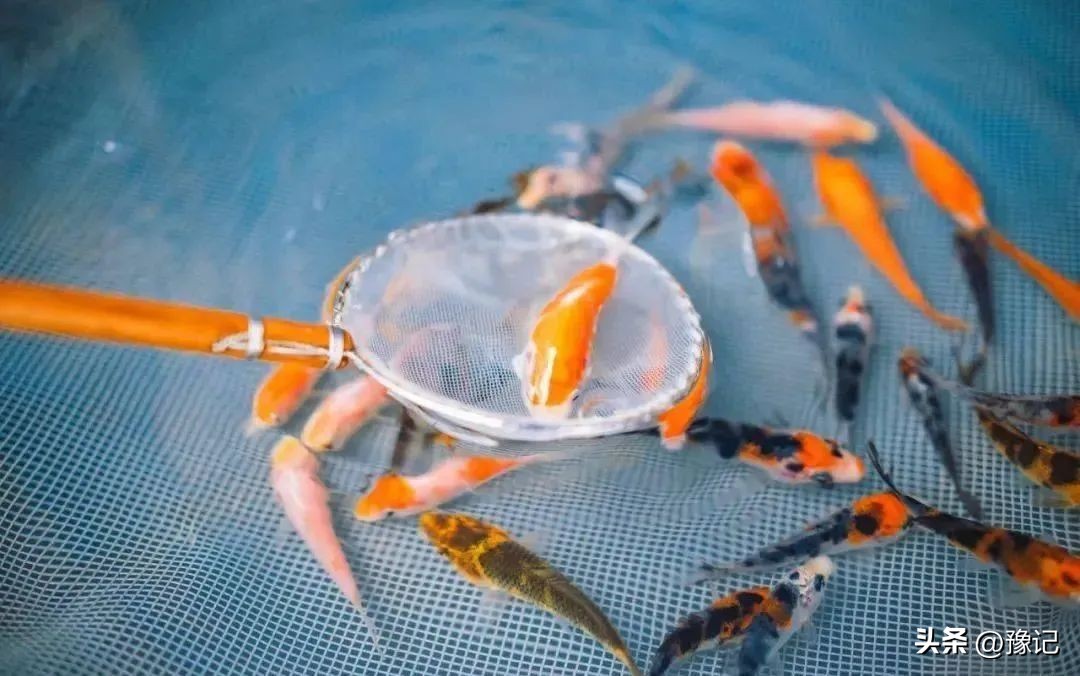 河南哪里地下宝藏最多,河南深山文物