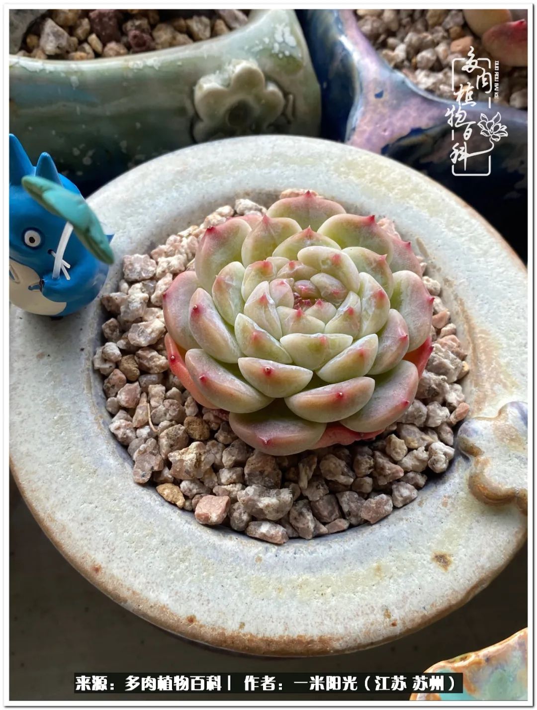 幸福就是珍惜当下所拥有的,珍惜当下所拥有的才是幸福的