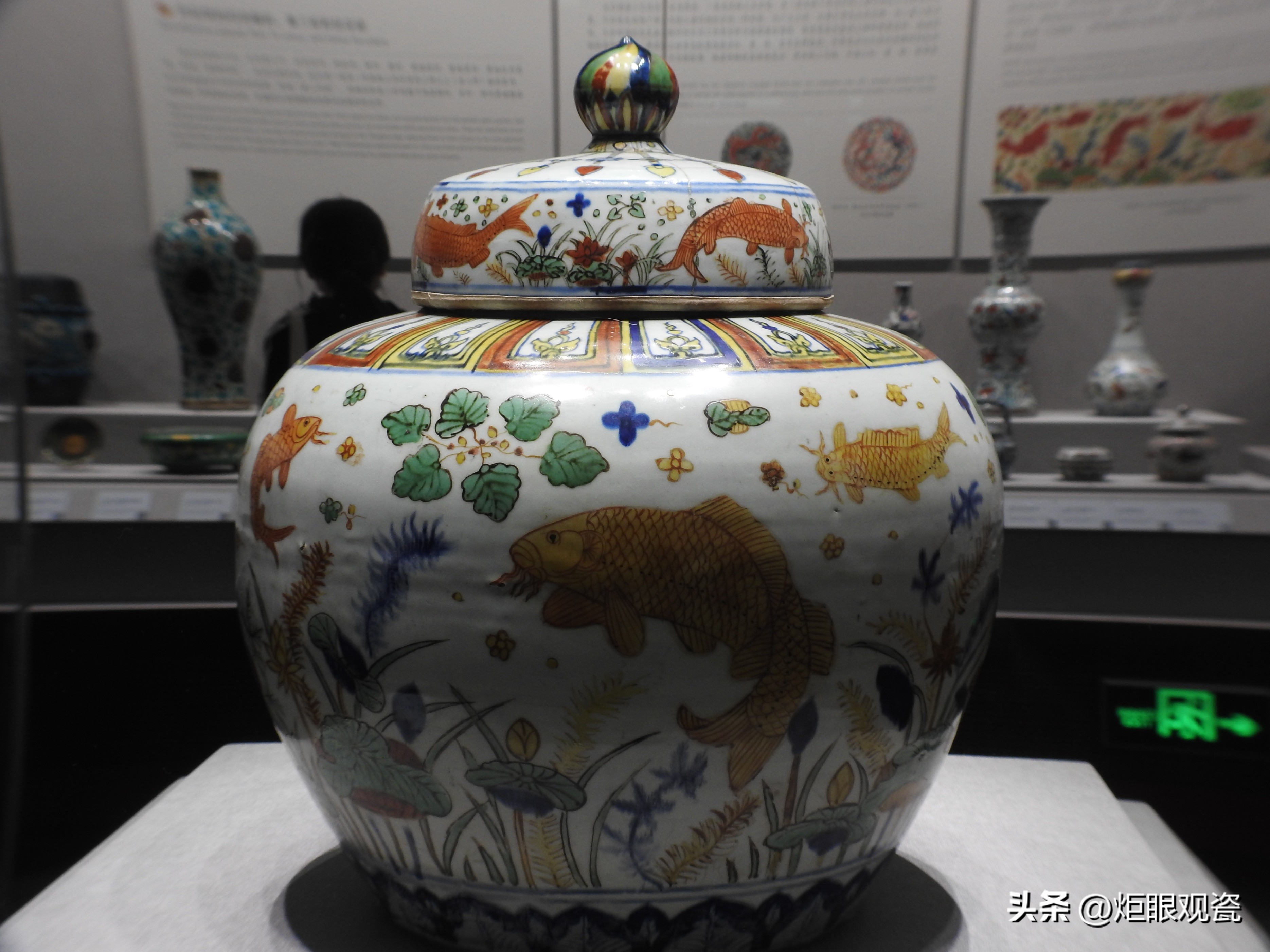 鱼乐其中——细观嘉靖五彩鱼藻纹罐的黄上红、翡翠绿、回石青