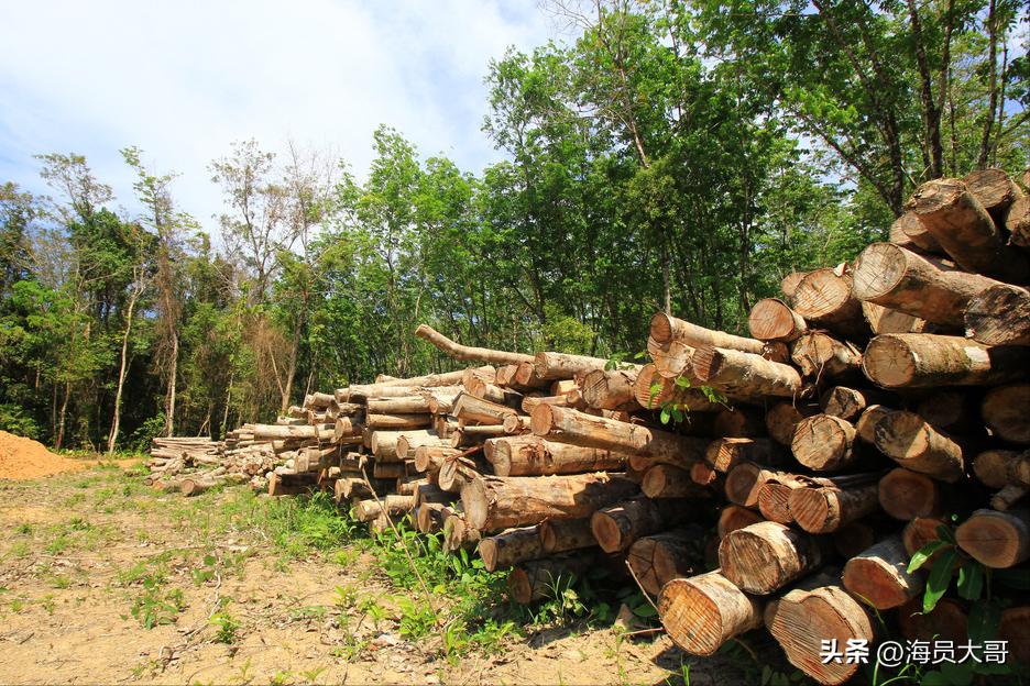 我，13年走过96个国家，曾三天赚66万，结果把自己送进了南非医院