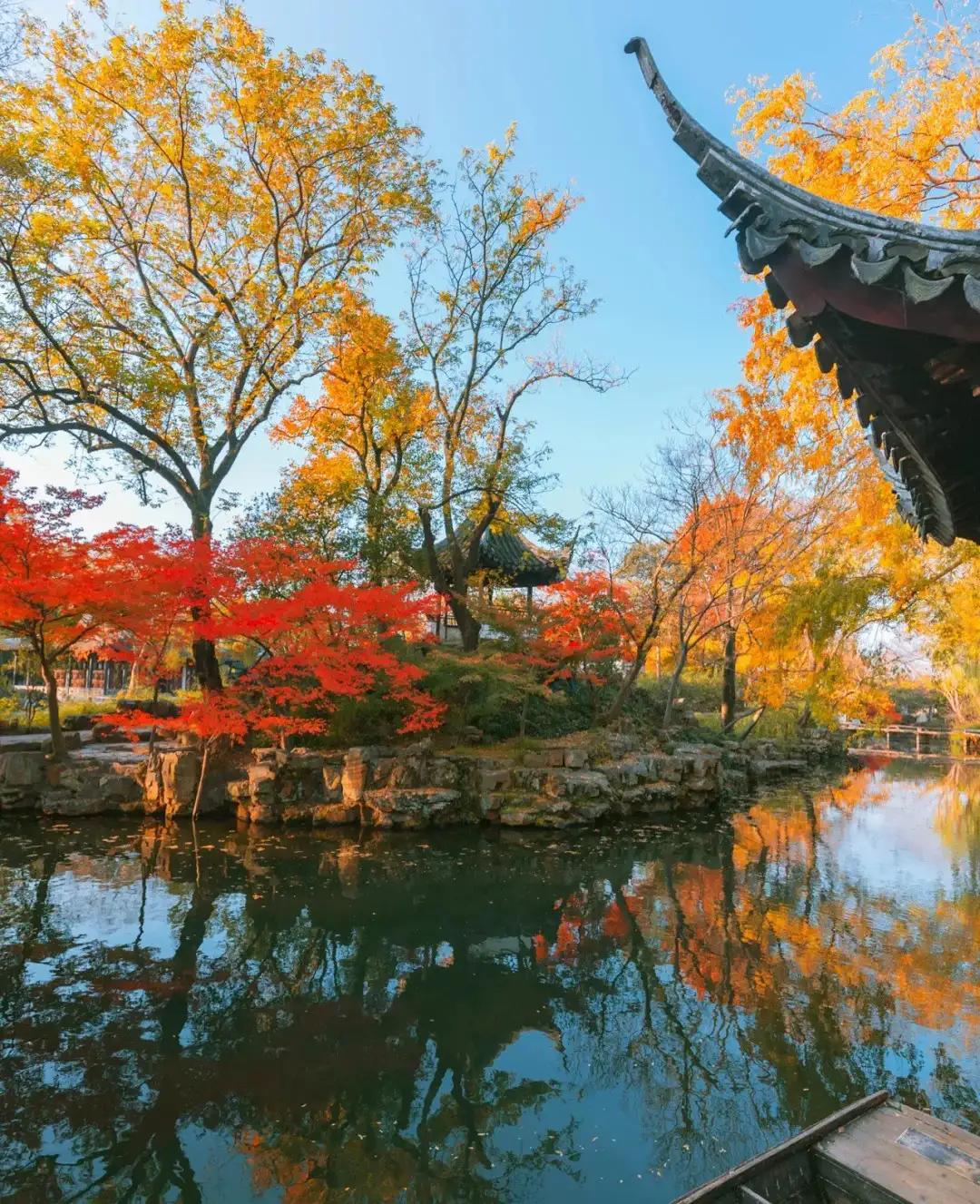 苏州秋季旅游最值得去的地方,苏州赏秋一日游攻略
