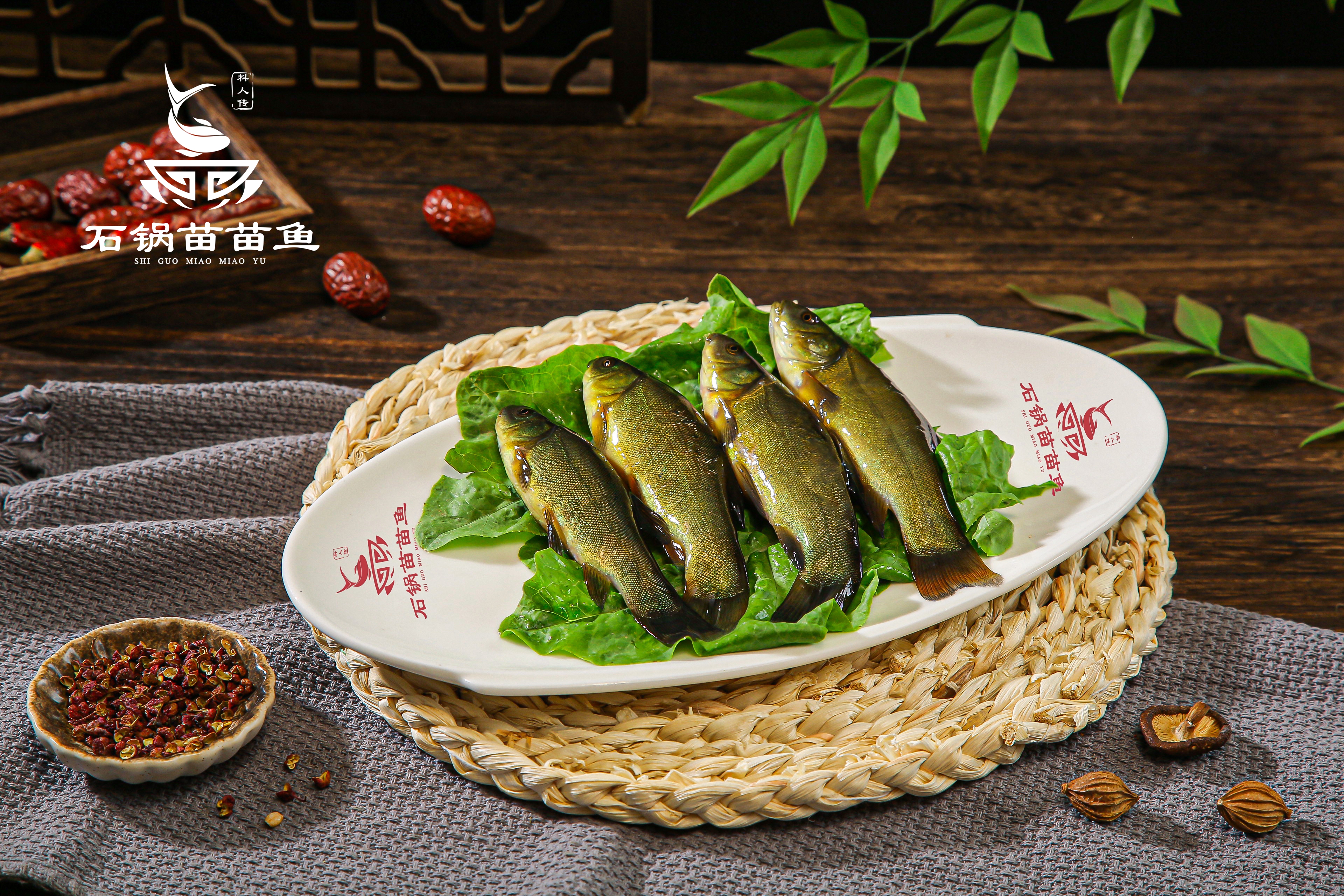 思旭石锅苗苗鱼：加盟火锅，新手小白的福音