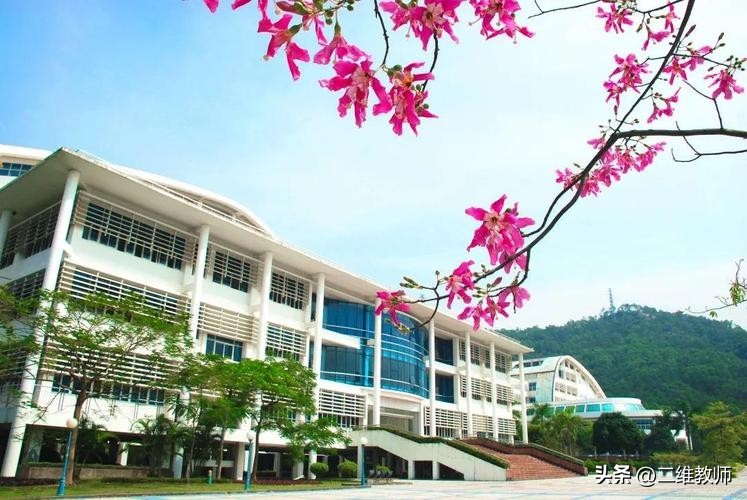 全国外语专业的大学最新排名,这2所双非院校建议你谨慎报考