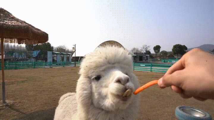 端午溧阳一日游必去景点,茅山五一旅游详细攻略