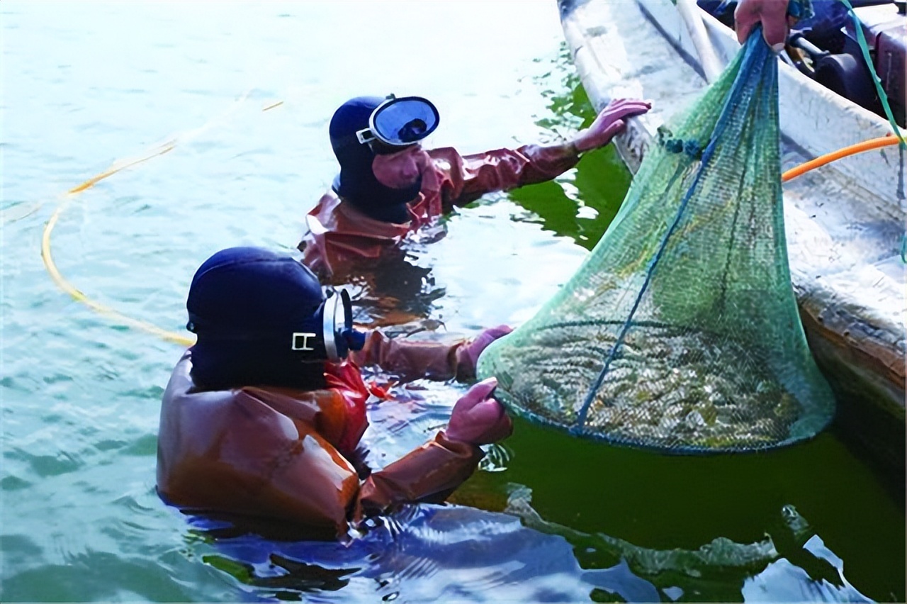 好品山东海参溯源专场,好品山东农产品