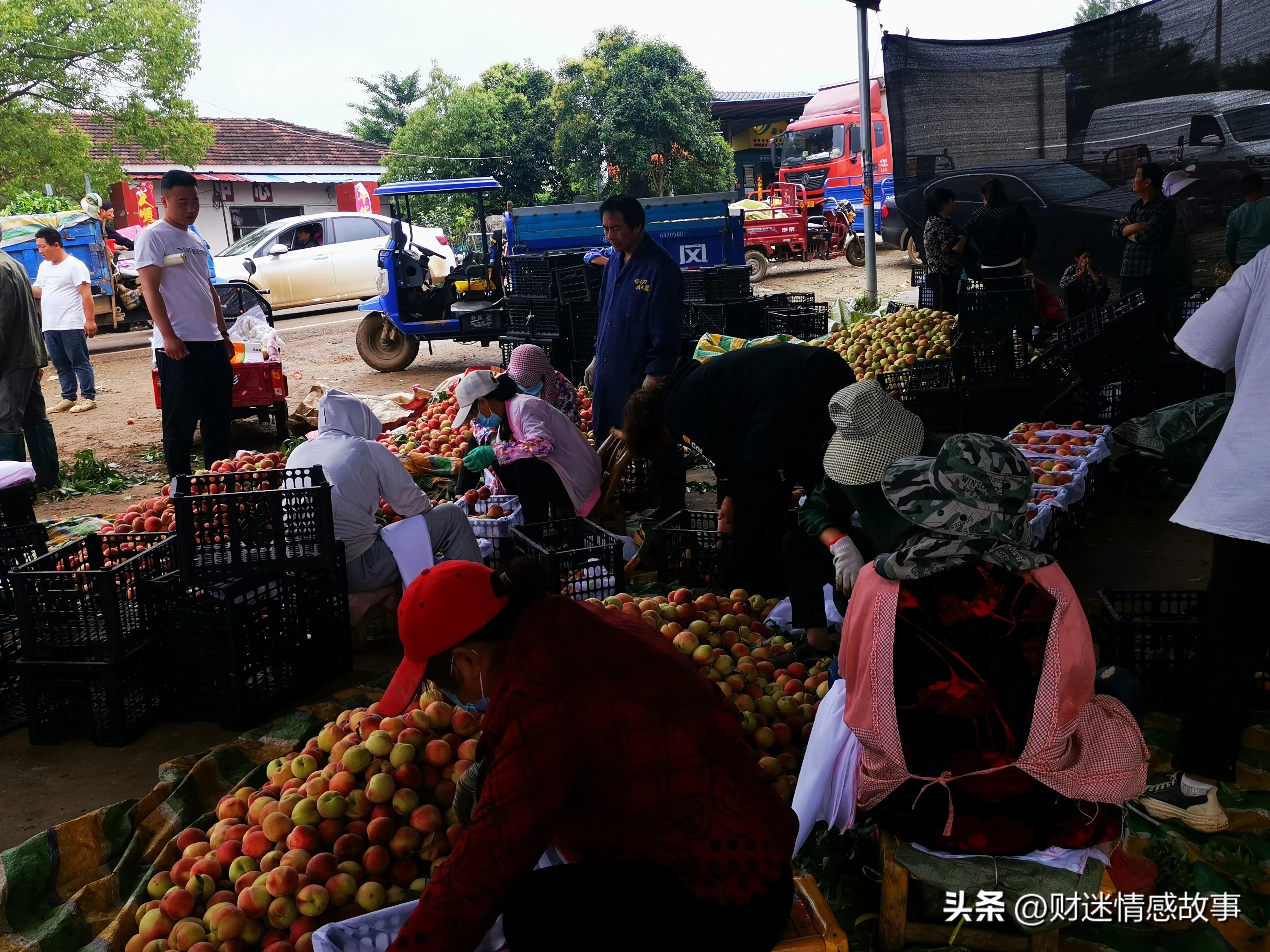 零投资空手套白狼赚钱的方法,0投资赚钱小技巧