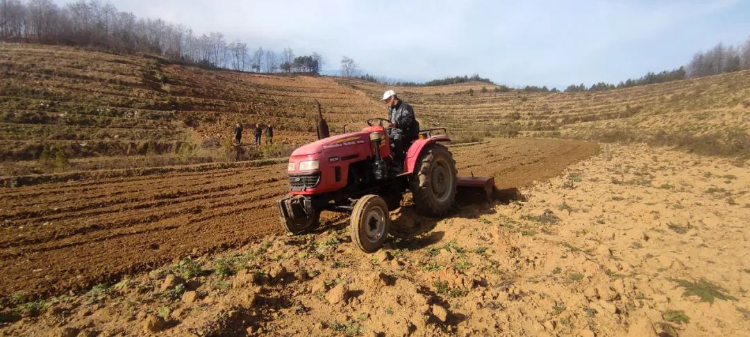 何坝镇铁鼓村,西和县何坝镇铁鼓村