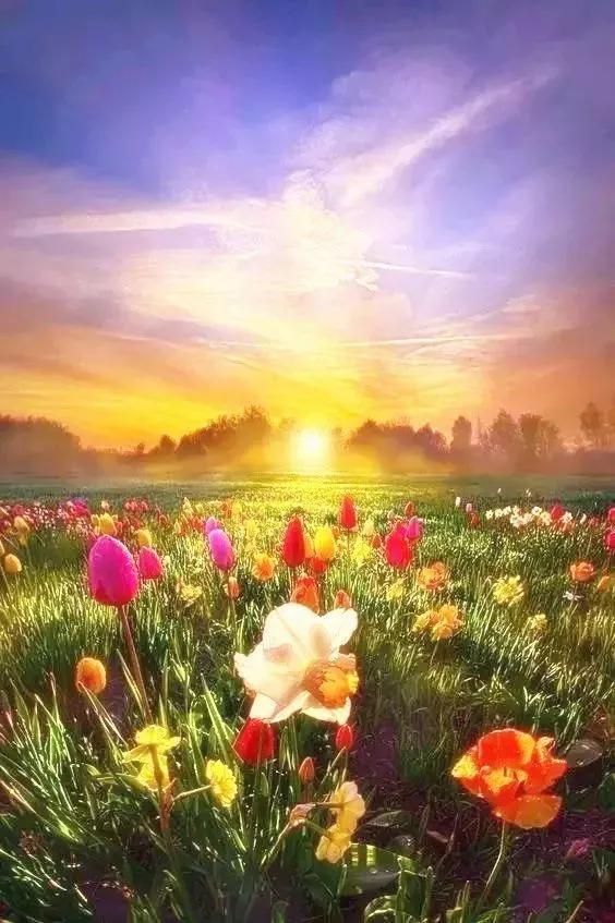 静等春暖花开抒情散文,春暖花开散文名家名作