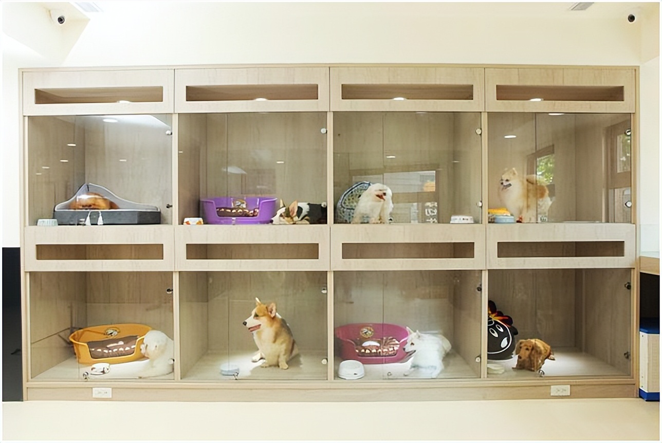 利润很吓人的10个冷门的生意,家居饰品利润很吓人的冷门生意