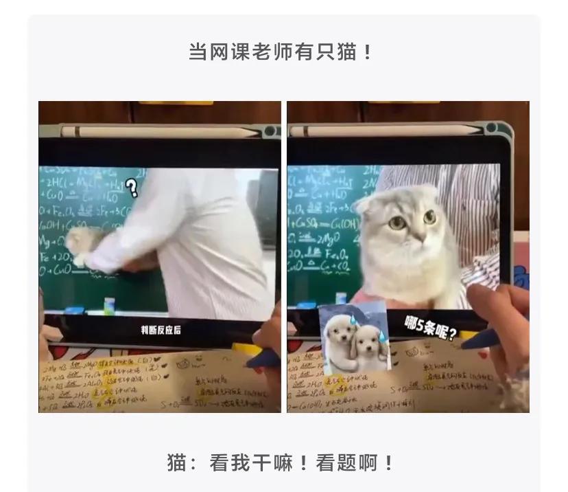 为什么吃了布洛芬更疼了,布洛芬是怎么知道我们身体哪里疼