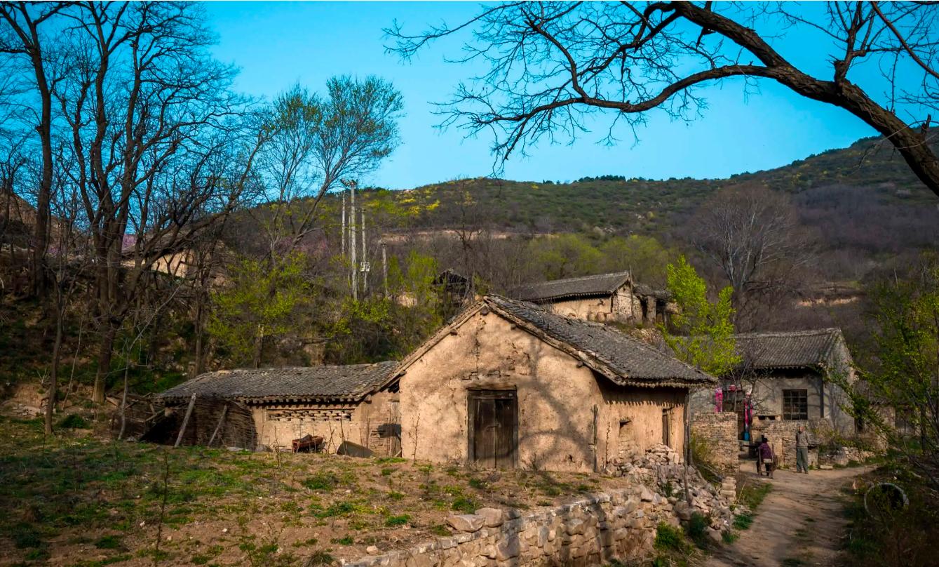 广东老太太捡了一只猫,广东老太上山捡了只小猫