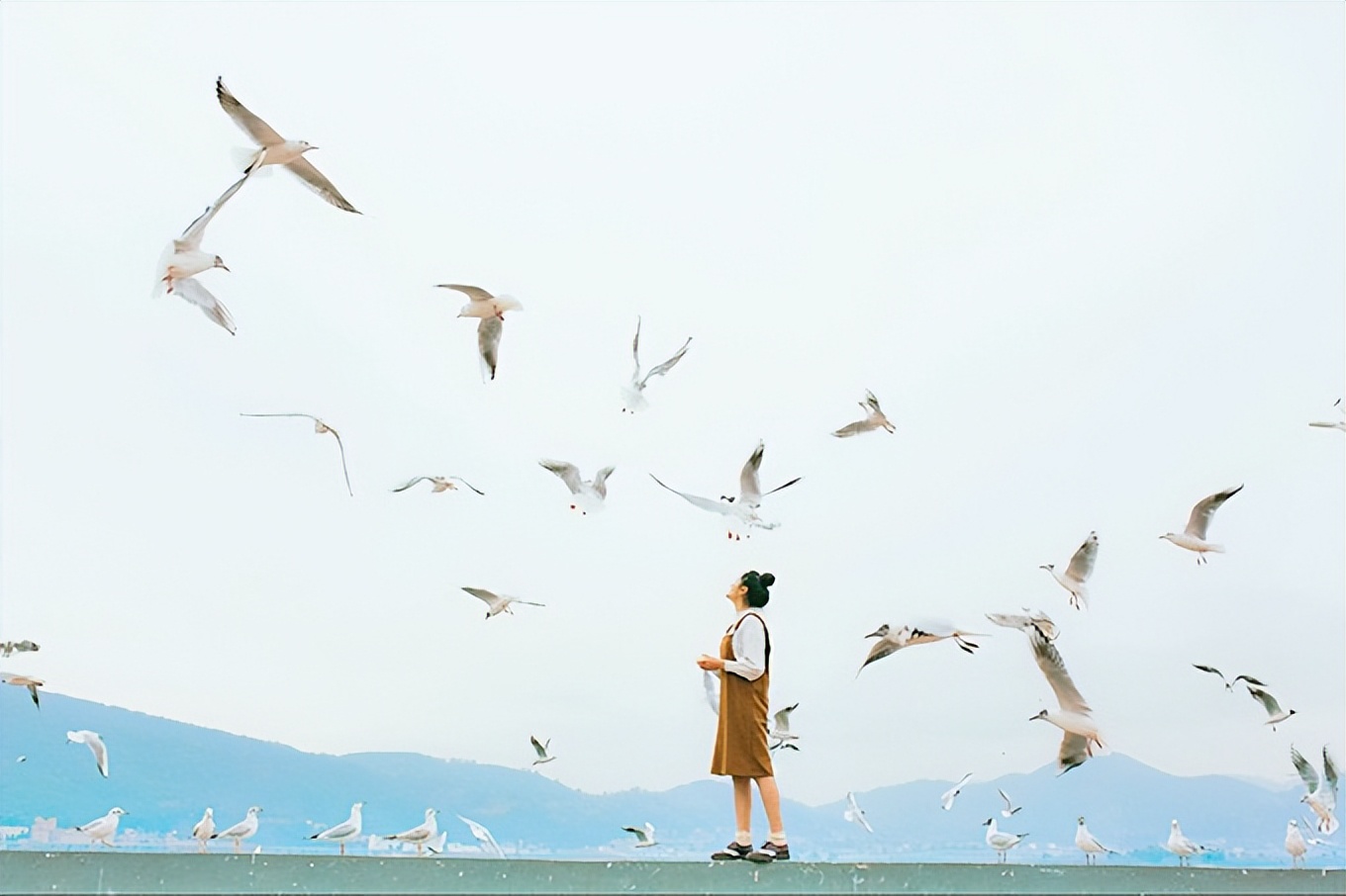 青岛7日游旅游攻略大全,青岛2-3天旅游攻略和花费