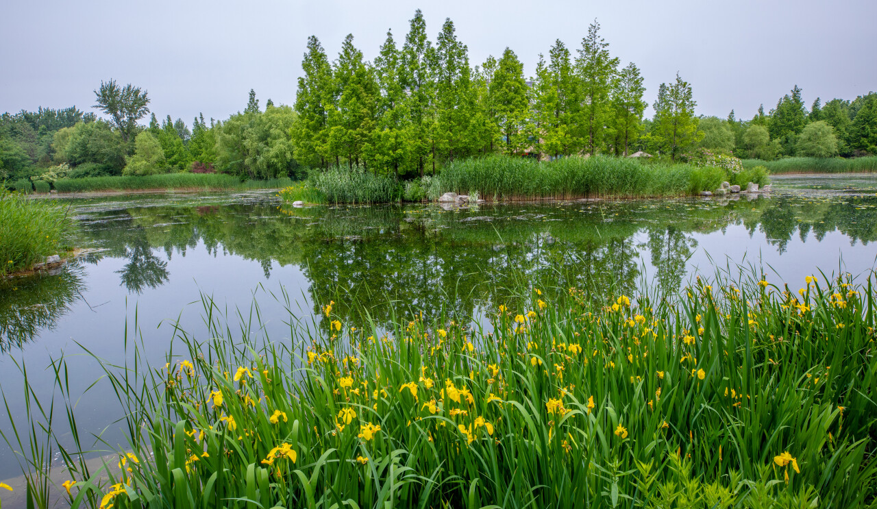 踏青济南攻略,济南黄河边春游攻略