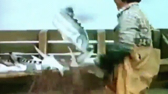 从2亿年不进化的王者，到比黄金还贵的食物，背后隐藏着商业秘密