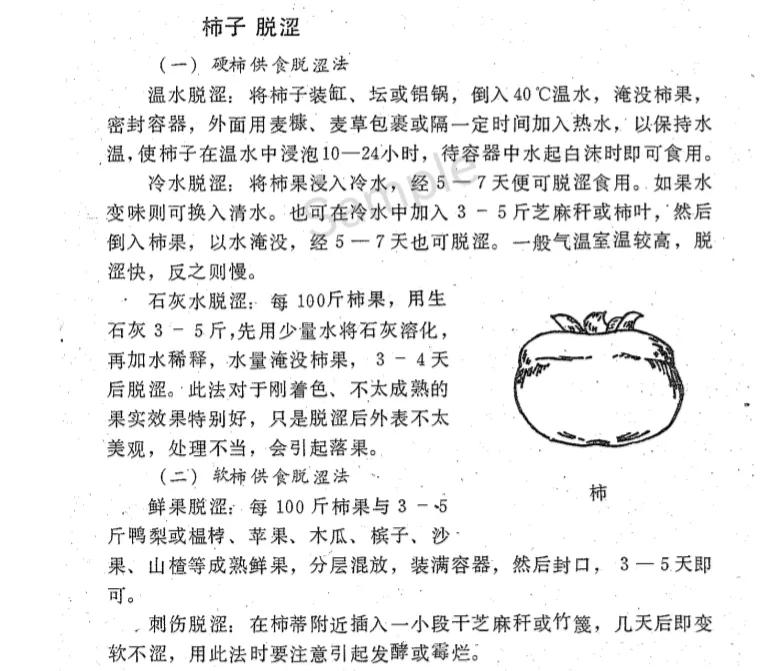 果品蜜饯,果品甜点