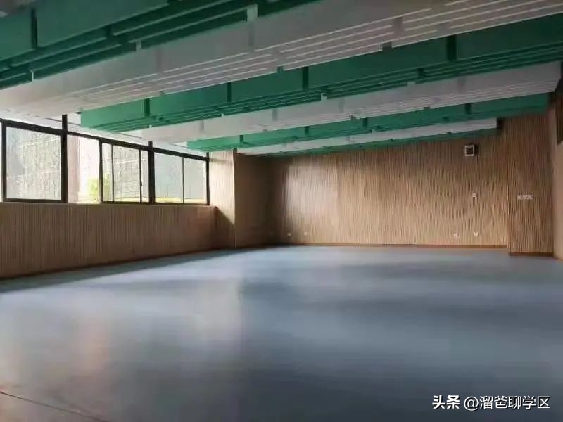 石室教育集团,成都石室中学教育集团学校