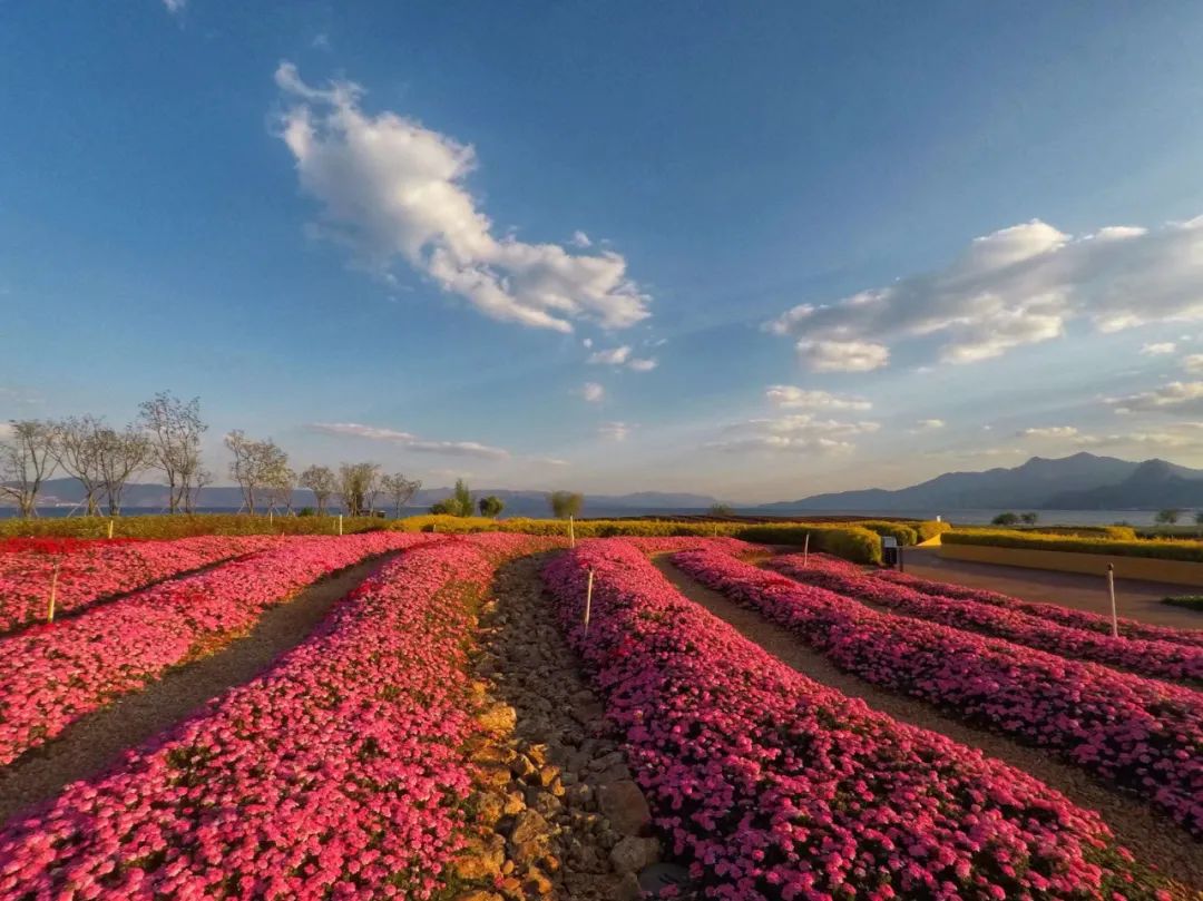 云南澄江抚仙湖,有一种云南的生活叫澄江