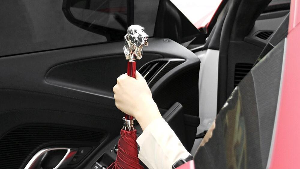 1万块钱可以买小雨伞吗,1万元以下雨伞