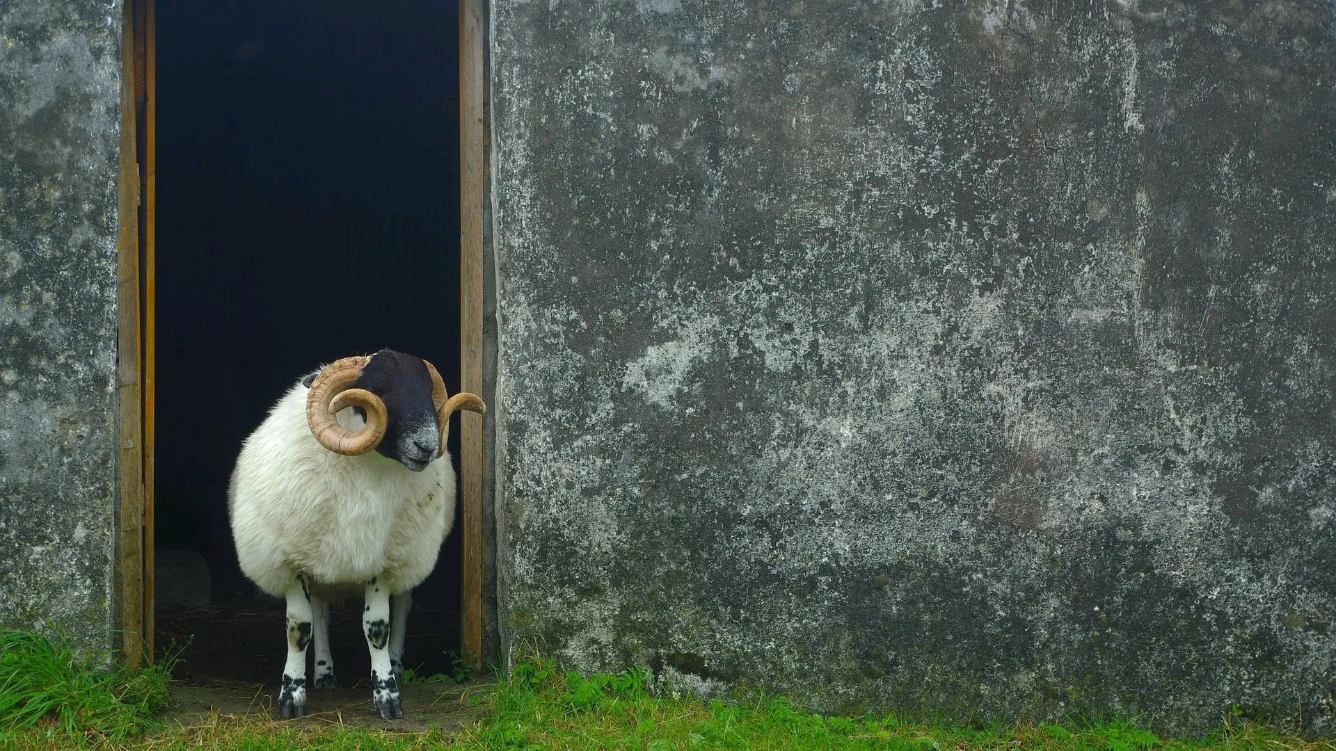 100个中国传统文化名词英文表达,中国传统文化英语名词的表达