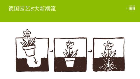 德国疫情带来的变化,德国园艺市场趋势