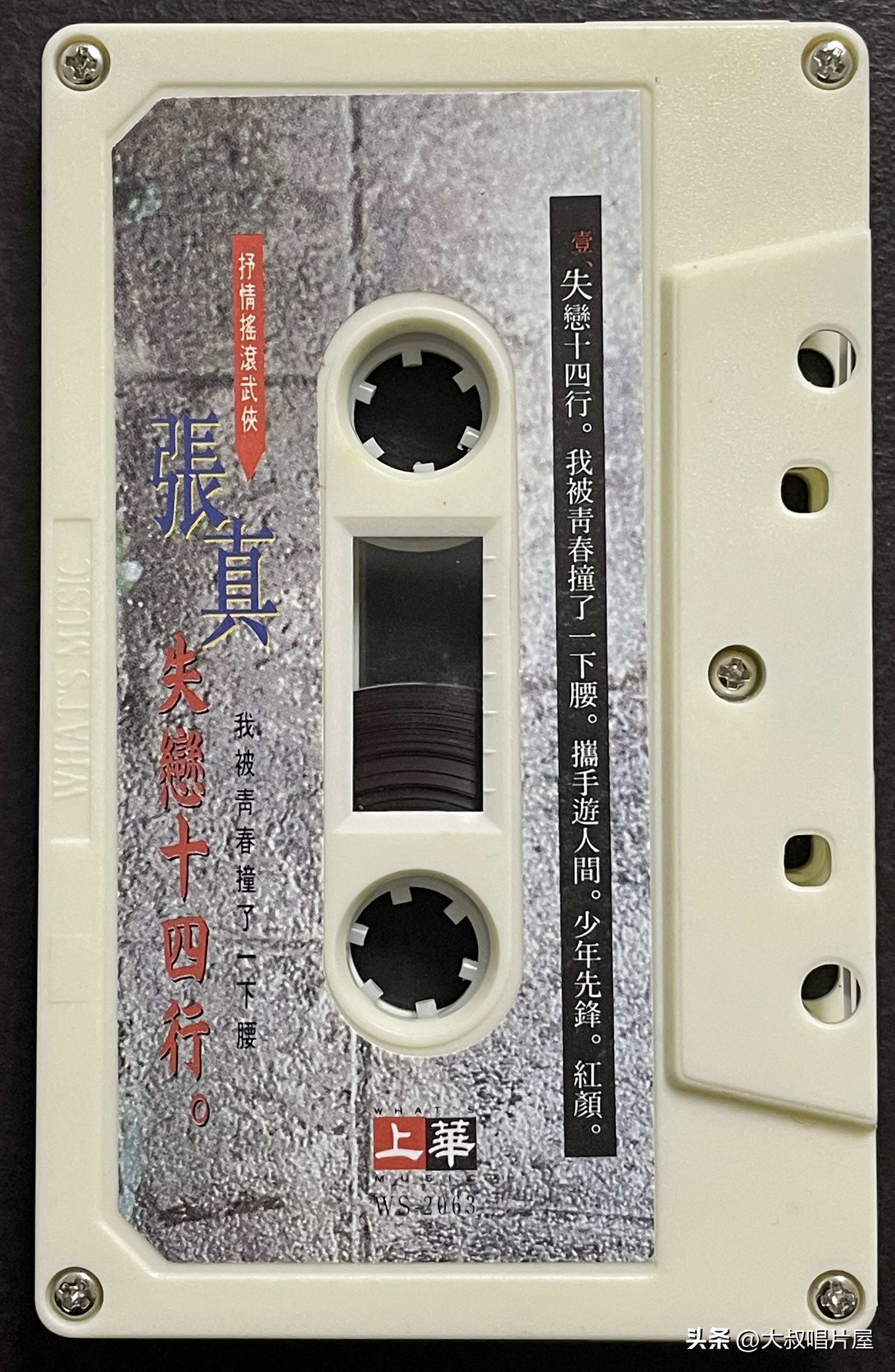 1993年中国神曲,1993年华语乐坛神曲大爆发