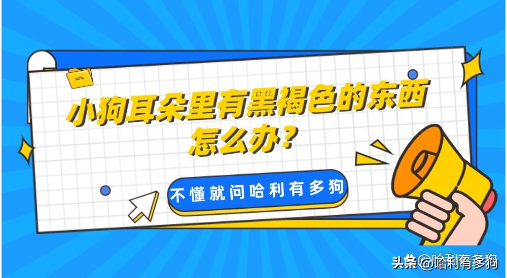 小狗耳朵里有褐色分泌物,小狗耳朵里黑色的东西怎么办