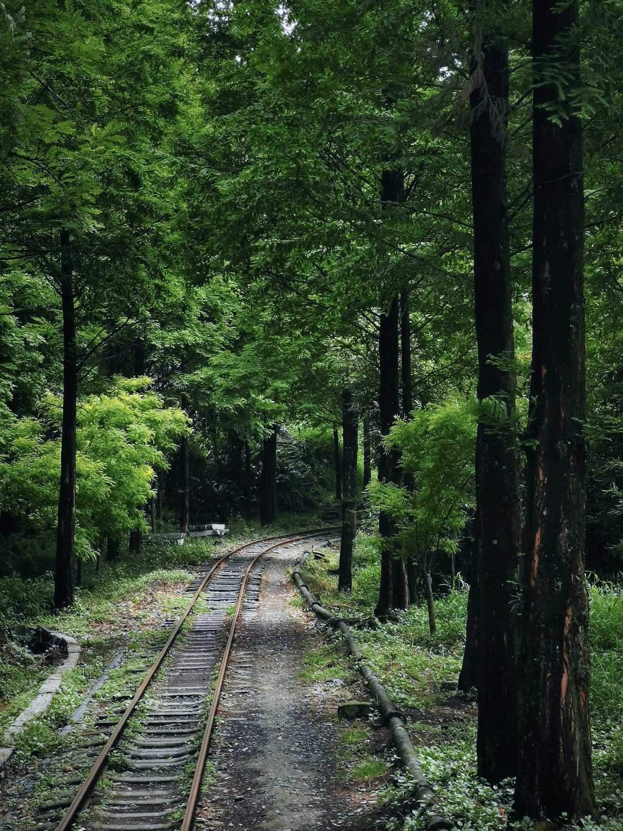 乐山异国风情打卡新去处,乐山游玩攻略及人文风情