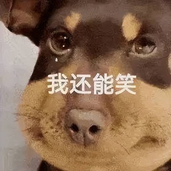 钦州迎来高“蜂”期!蓝朋友2个月摘了181个马蜂窝!