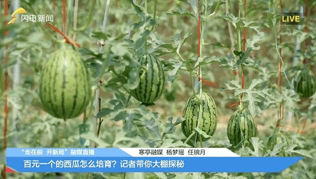 疯狂连更！山东这场持续两个月的直播，观看量超3.7亿