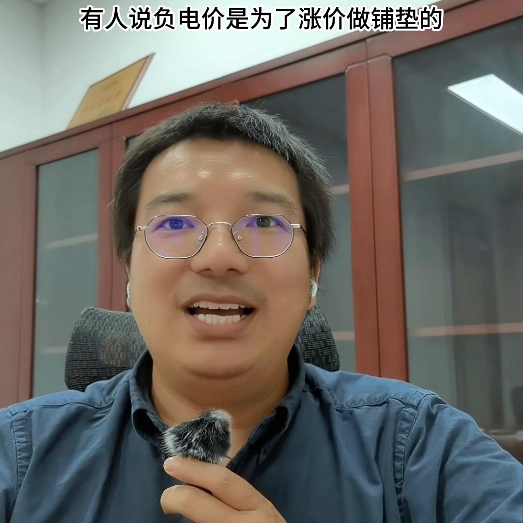 电力现货交易负电价,胜利说国语视频