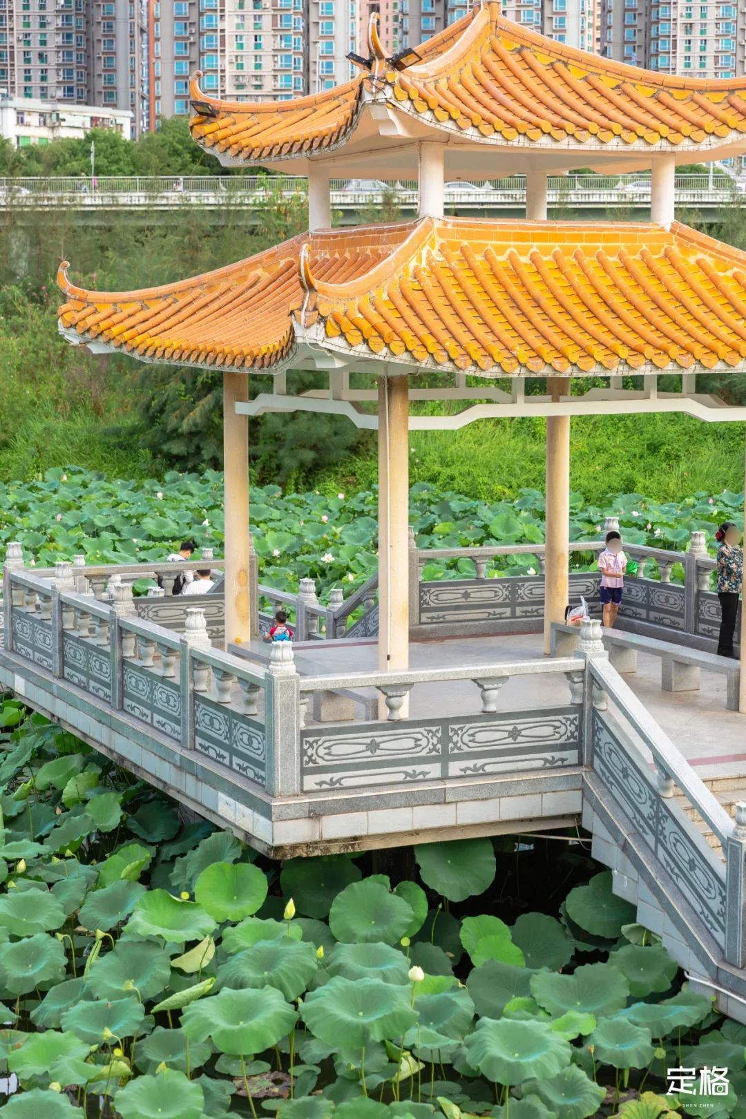 深圳3月14个赏花胜地全部免费,深圳清明节踏青赏花好去处