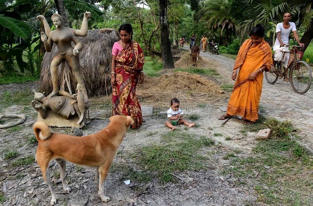 印度为什么会超过美国,印度和美国哪个面积大